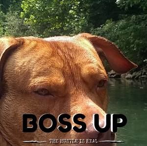 Meet your Posher, Bryan